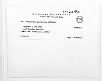 Image Associated With the Occurence